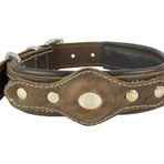 Canini Collar Hakiki Yağlı Deri Airtag Uyumlu Köpek Tasması – Dayanıklı, Konforlu ve Şık Tasarım, Airtag Bölmeli Gerçek Deriden Köpekler İçin Tasma (Kahverengi, S)
