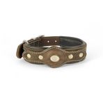Canini Collar Hakiki Yağlı Deri Airtag Uyumlu Köpek Tasması – Dayanıklı, Konforlu ve Şık Tasarım, Airtag Bölmeli Gerçek Deriden Köpekler İçin Tasma (Kahverengi, XS)