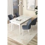 Canisa Arp Serisi 70X110 Sabit Beyaz Mermer Desen Masa Takımı 4 Füme Sandalye