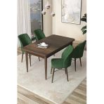 Canisa Arp Serisi 70X110 Sabit Mutfak Masası Takımı Barok Desen Masa 4 Haki Yeşil Sandalye