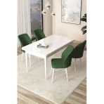 Canisa Arp Serisi 70X110 Sabit Mutfak Masası Takımı Beyaz Masa 4 Haki Yeşil Sandalye