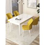 Canisa Arp Serisi Beyaz 70x110 cm Sabit Hardal Mutfak Masa Takımı