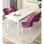 Canisa Arp Serisi Beyaz 70x110 cm Sabit Mor Mutfak Masa Takımı