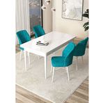 Canisa Arp Serisi Beyaz 70x110 cm Sabit Pembe Mutfak Masa Takımı