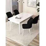 Canisa Arp Serisi Beyaz 70x110 cm Sabit Siyah Mutfak Masa Takımı