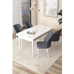 Canisa Arp Serisi, Beyaz Masa 71x110 Sabit Yemek Odası Takımı, 4 Füme Sandalye