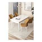 Canisa Arp Serisi,beyaz 70x110 Sabit Mutfak Masa Takımı Masa 4 Sandalye Cappuccino