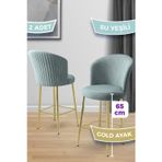 Canisa Concept Alte Serisi 2 Adet Babyface Kumaş 65 Cm Gold Kaplama Ayaklı Su Yeşili Bar Sandalyesi