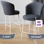 Canisa Concept Alte Serisi Mutfak Bar Sandalyesi Babyface Kumaş Beyaz Metal Ayak 2 Adet Sandalye - Antrasit