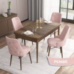 Canisa Concept Are Serisi 80 x 132 cm Mdf Masa Barok Ahşap Desen Masa Takımı 4 Sandalye Gümüş Halkalı - 80x132 - Pembe
