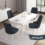 Canisa Concept Are Serisi, Mdf 80X132 Açılabilir Beyaz Yemek Odası Takımı, 4 Sandalye Gümüş Halkalı - Antrasit