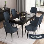 Canisa Concept Are Serisi Mdf 80X132 Açılabilir Siyah Mermer Desen Yemek Odası Takımı 6 Sandalye Gold Halkalı - Antrasit