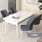 Canisa Concept Arp Serisi 70x110 cm Sabit Beyaz Masa 4 Sandalye Füme Mutfak Masası Takımı