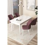 Canisa Concept Arp Serisi 70x110 cm Sabit Mutfak Masası Takımı, Beyaz Masa, 4 Gülkurusu Sandalye