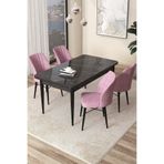Canisa Concept ARP Serisi 70x110 cm Sabit Mutfak Masası Takımı, Siyah Mermer Desen Masa, 4 Pembe Sandalye