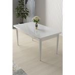 Canisa Concept Arp Serisi, 70X110 Sabit Mutfak Masası, Beyaz Masa