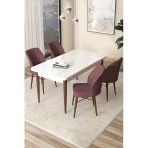 Canisa Concept Arp Serisi 70X110 Sabit Mutfak Masası Takımı Beyaz Ceviz Masa 4 Gül Kurusu Sandalye