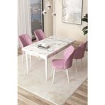 Canisa Concept Arp Serisi 70X110 Sabit Mutfak Masası Takımı Beyaz Mermer Desen Masa 4 Pembe Sandalye