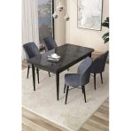 Canisa Concept Arp Serisi 70X110 Sabit Mutfak Masası Takımı Siyah Mermer Desen Masa 4 Füme Sandalye