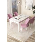 Canisa Concept Arp Serisi, 71X110 Sabit Mutfak Masa Takımı,Beyaz Mermer Desen Masa 4 Pembe Sandalye