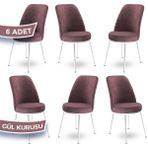 Canisa Concept Dexa Serisi Üst Kalite Mutfak Sandalyesi Metal Beyaz Iskeletli 6 Adet Sandalye - Gülkurusu