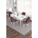 Canisa Concept Eva Serisi 80 x 132 cm Açılabilir Mdf Mutfak Masa Takımı Beyaz Masa ve 4 Sandalye - Gül Kurusu