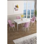 Canisa Concept Han Serisi 70 x 114 Cm, Açılabilir Mdf Mutfak Masa Takımı, Beyaz Mermer Desen Masa ve 4 Sandalye - Pembe