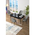 Canisa Concept Kor Serisi 70x114 Açılabilir Mutfak Masası Takımı Siyah Mermer Desen Masa 4 Zebra Desen Sandalye