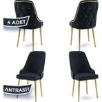 Canisa Concept Krax Serisi, 1.sınıf Babyface Kumaş Mutfak Sandalyesi, Gold Metal Ayak, 4 Adet Sandalye - Antrasit - Gold Ayaklar