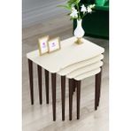 Canisa Concept Kuğu Serisi Mdf 4 Lü Zigon Sehpa Takımı