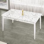 Canisa Concept Lav Serisi Sabit 80X130 Beyaz Mermer Desen Mutfak Masası Takımı 4 Sandalye Gold Halkalı - Kahverengi