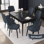 Canisa Concept Nex Serisi Siyah Mermer 80 x 132 cm Mdf Mutfak Masası Takımı Metal Iskelet 6 Sandalye Gümüş Halka - 80x132 - Antrasit