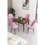 Canisa Concept Nil Serisi 70 x 110 cm Sabit Barok Ahşap Desen Mutfak Masa Takımı+4 Adet Sandalye - Pembe