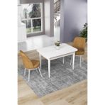 Canisa Concept Nil Serisi 70 x 110 cm Sabit Beyaz Mutfak Masa Takımı+2 Adet Sandalye - Cappuccino