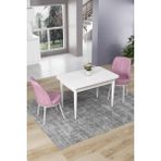 Canisa Concept Nil Serisi 70 x 110 cm Sabit Beyaz Mutfak Masa Takımı+2 Adet Sandalye - Pembe