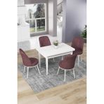 Canisa Concept Nil Serisi 70 x 110 cm Sabit Beyaz Mutfak Masa Takımı+4 Adet Sandalye - Gülkurusu