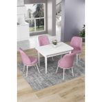 Canisa Concept Nil Serisi 70 x 110 cm Sabit Beyaz Mutfak Masa Takımı+4 Adet Sandalye - Pembe