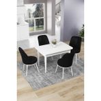 Canisa Concept Nil Serisi 70 x 110 cm Sabit Beyaz Mutfak Masa Takımı+4 Adet Sandalye - Siyah