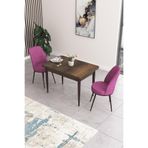Canisa Concept Nil Serisi 70x110 cm Sabit Mutfak Masası Takımı, Barok Ceviz Masa, 2 Mor Sandalye