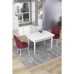 Canisa Concept Nil Serisi 70x110 cm Sabit Mutfak Masası Takımı, Beyaz Masa, 2 Bordo Sandalye