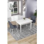 Canisa Concept Nil Serisi 70x110 Sabit Mutfak Masası Takımı Beyaz Masa 2 Füme Sandalye