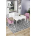 Canisa Concept Nil Serisi 70X110 Sabit Mutfak Masası Takımı Beyaz Masa 2 Pembe Sandalye