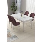 Canisa Concept Nil Serisi 70x110 Sabit Mutfak Masası Takımı Beyaz Masa 4 Gül Kurusu Sandalye