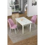 Canisa Concept Nil Serisi 70X110 Sabit Mutfak Masası Takımı Beyaz Mermer Desen Masa 2 Pembe Sandalye