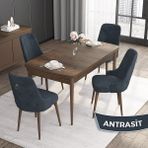 Canisa Concept Noa Serisi, 80 x 132 cm Mdf Masa Takımı, Barok Ahşap Desen Masa 4 Sandalye, Gümüş Halkalı - Antrasit