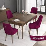 Canisa Concept Noa Serisi, 80 x 132 cm Mdf Masa Takımı, Barok Ahşap Desen Masa 4 Sandalye, Gümüş Halkalı - Mürdüm