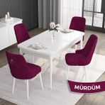 Canisa Concept Noa Serisi,80 x 132 cm Açılabilir Mdf Masa,beyaz Mutfak Masa Takımı,4 Sandalye Gümüş Halkalı - Mürdüm