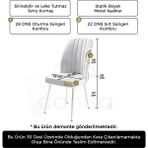 Canisa Concept Platinum Serisi Üst Kalite Mutfak Sandalyesi Metal Beyaz Iskeletli 1 Adet Sandalye - Lacivert