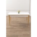 Canisa Concept Rewa Serisi 70X110 Sabit Beyaz Gold Ayaklı Mutfak Masası