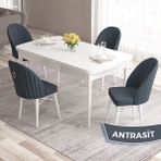 Canisa Concept Roz Serisi 80X132 Mdf Açılabilir Beyaz Mutfak Masası Takımı 4 Sandalye Gold Halkalı - Antrasit